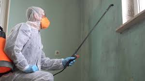 Best Mold Remediation for Rental Properties  in Ozark, MO