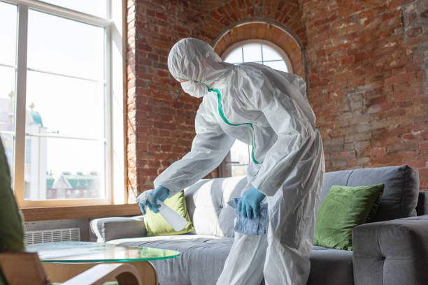 Best Industrial Mold Remediation  in Ozark, MO